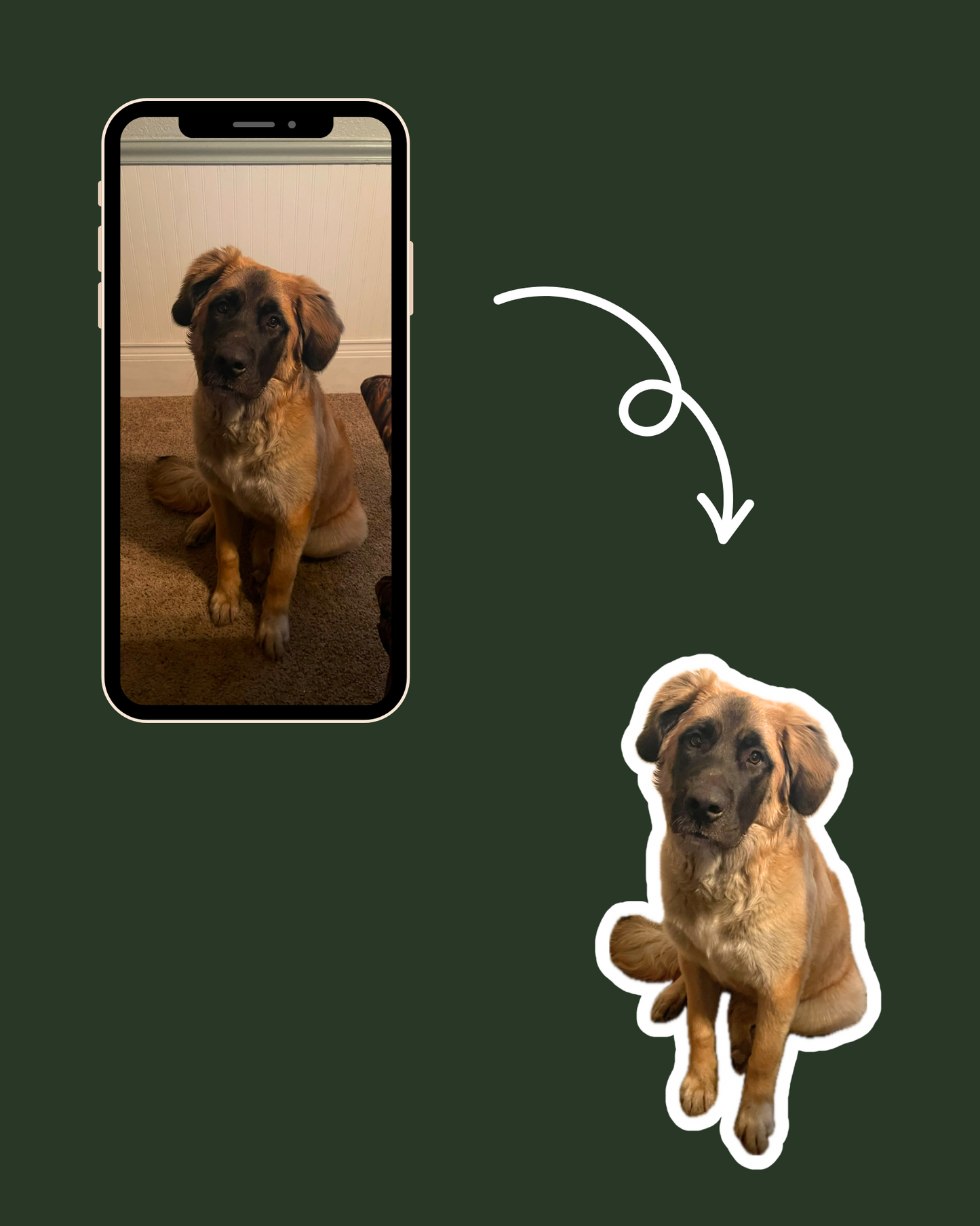 Custom Photo Sticker