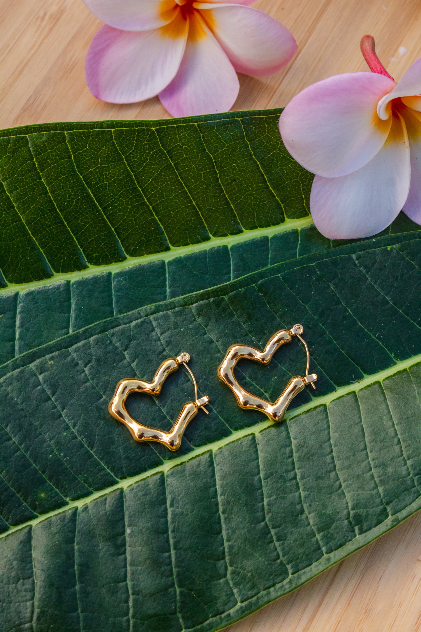 Bamboo Heart Earrings