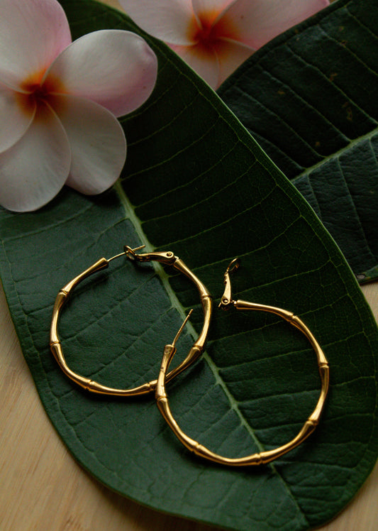 Bamboo Hoops